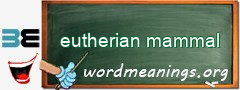 WordMeaning blackboard for eutherian mammal